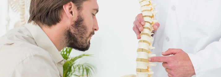 Practitioner pointing to a spine model while explaining vertebral anatomy to a seated individual.