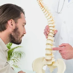 Practitioner pointing to a spine model while explaining vertebral anatomy to a seated individual.